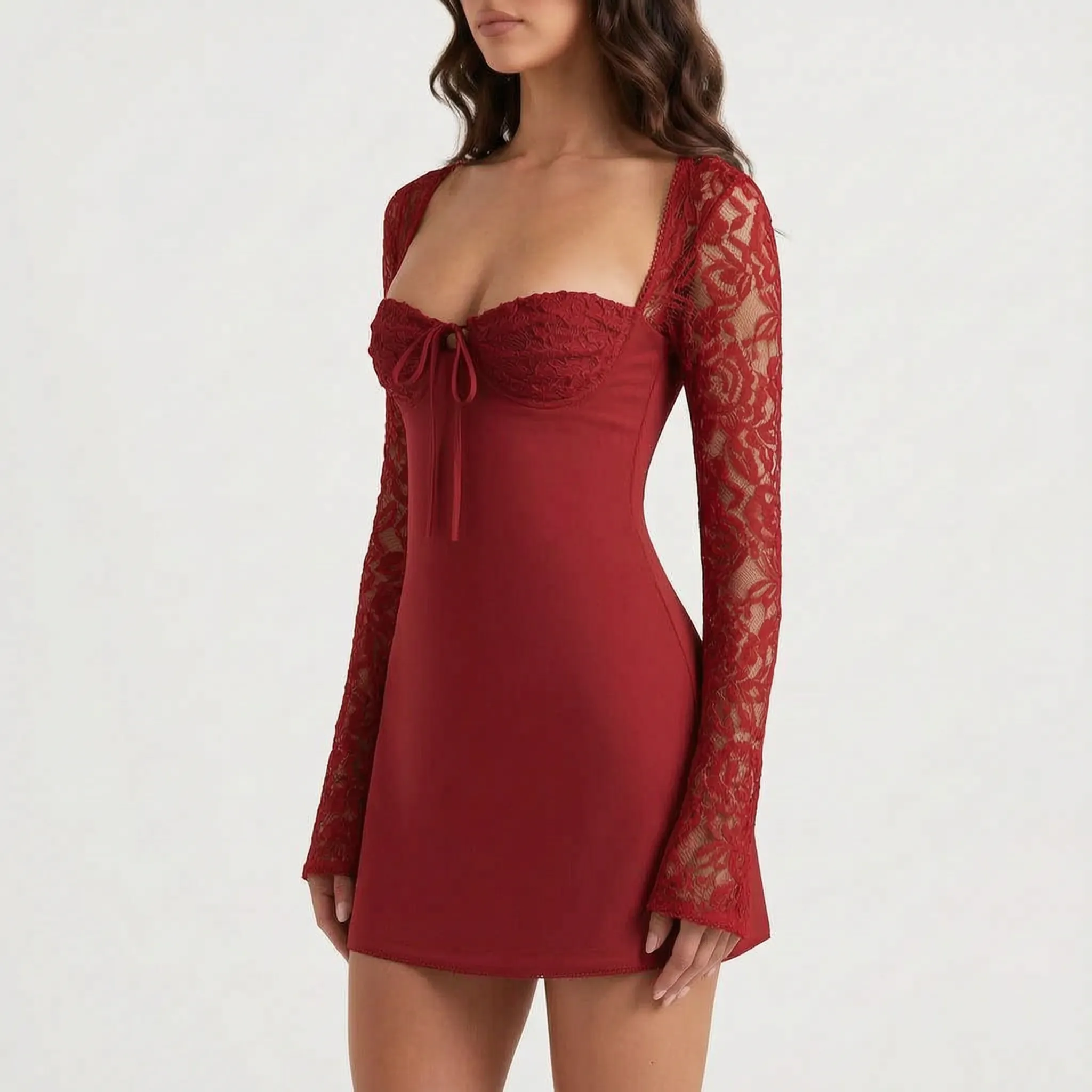Robyn  - Long Sleeve Sheer Mini Dress
